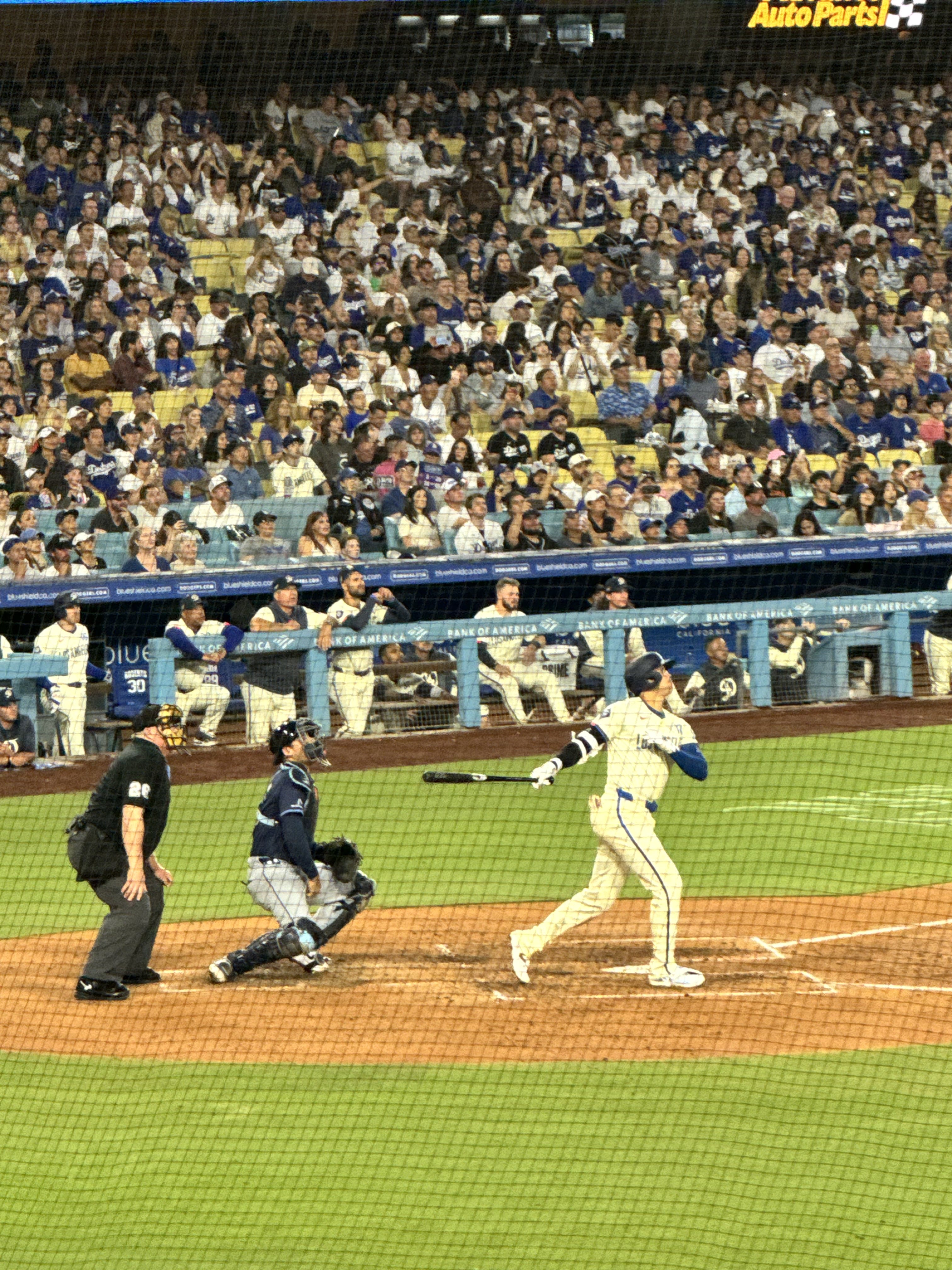 Los Angeles Dodgers vs Tampa Bay Rays