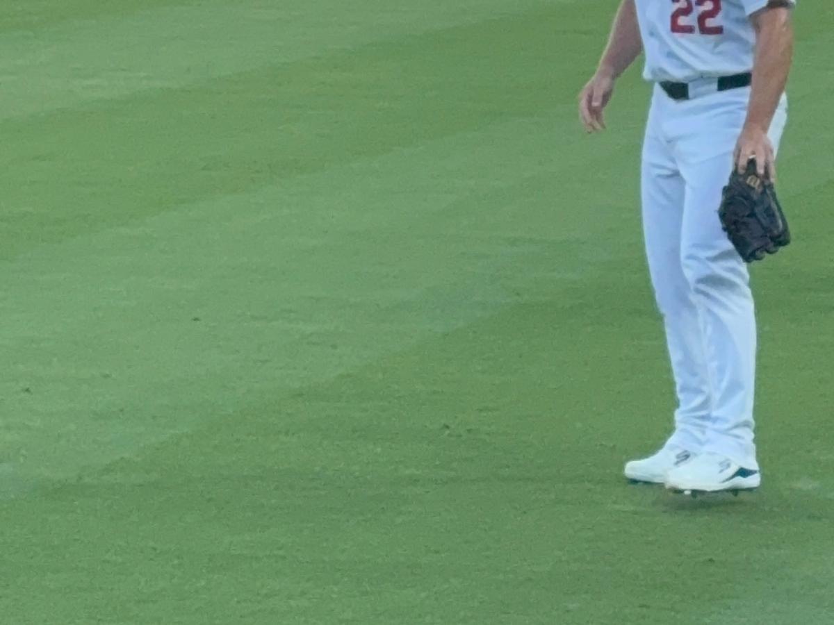 Los Angeles Dodgers vs Chicago White Sox