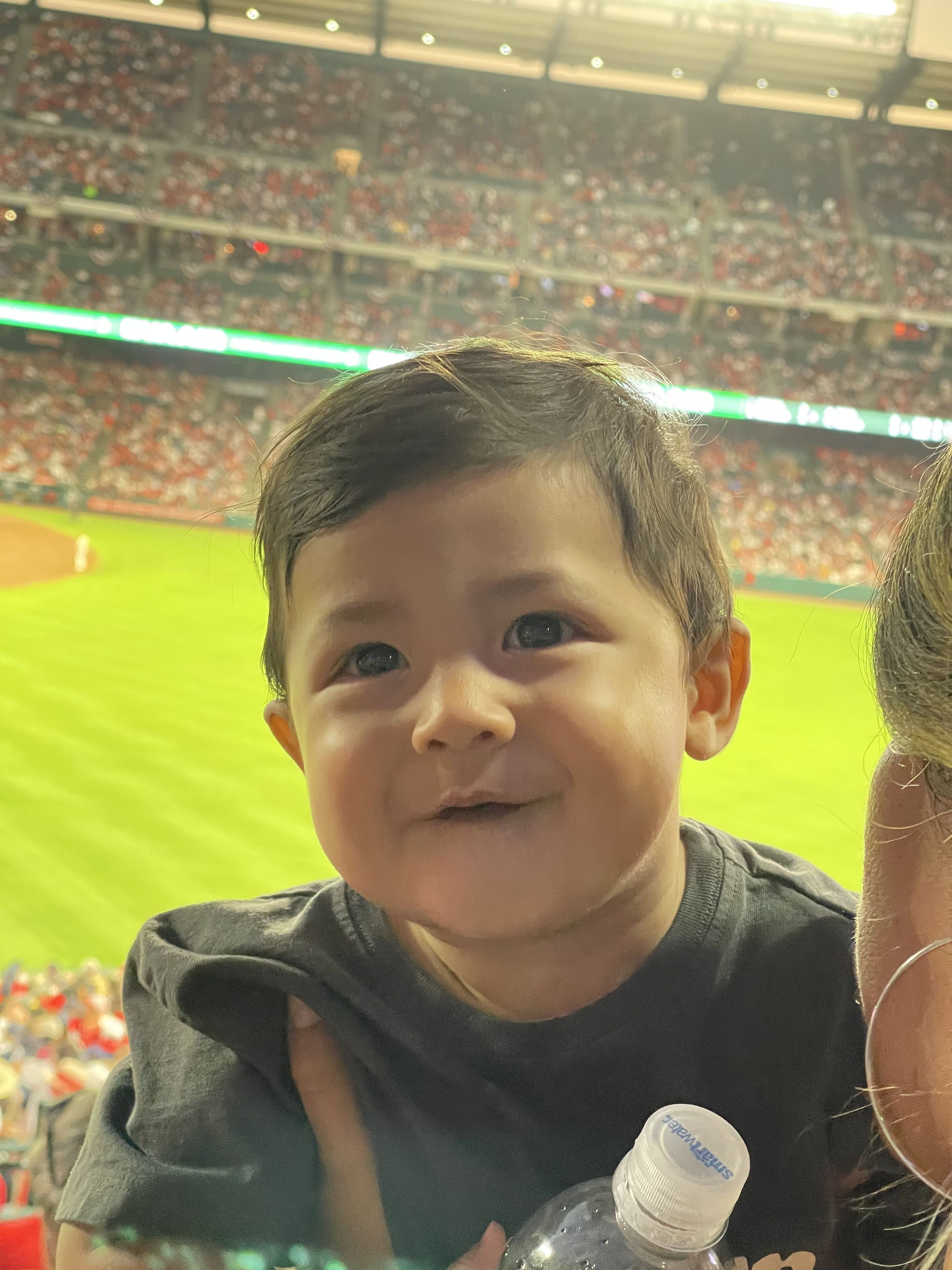 Los Angeles Angels vs Boston Red Sox